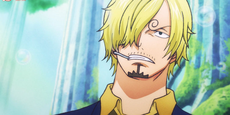 Sanji - one piece merchandise
