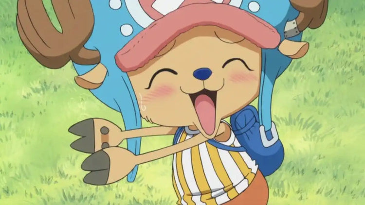 Tony Tony Chopper - one piece merchandise